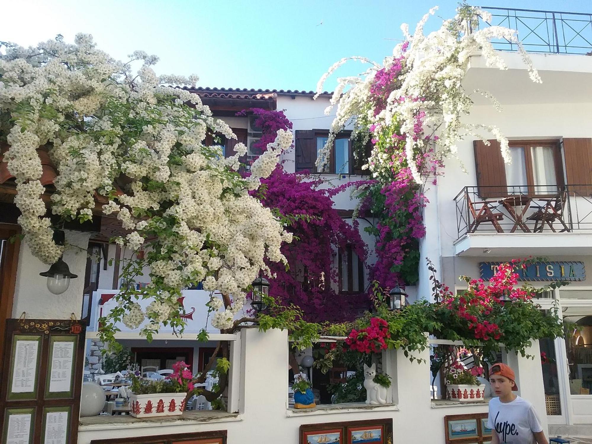 Mouria Hotel Скиатос Екстериор снимка